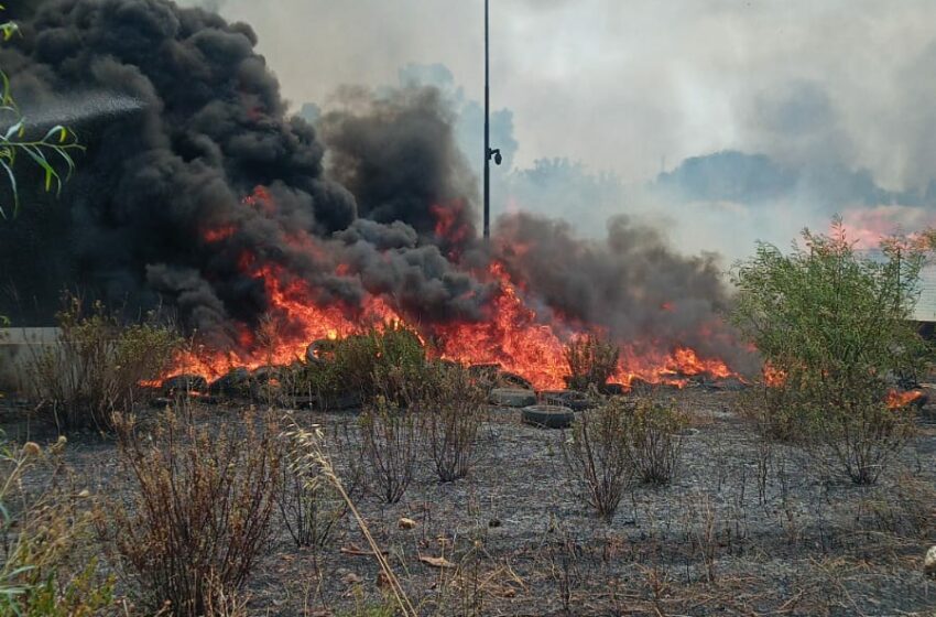  Paura al Centro di raccolta: divampa un incendio nell’area esterna